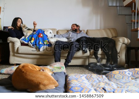 Happy couple with dog having fun on sofa at home
