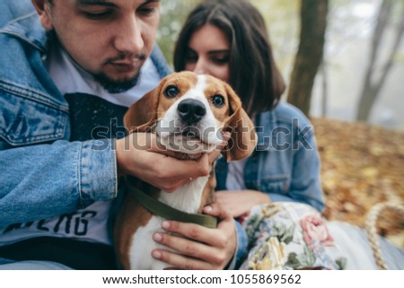 Happy couple enjoying time with their dog. Couple with dog. Family. Beagle.