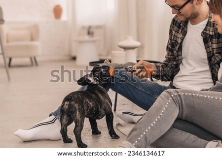 Happy couple is having fun and playing with puppy,French Bulldog.Man and woman teasing the dog with a textile toy.Family and animal life concept.