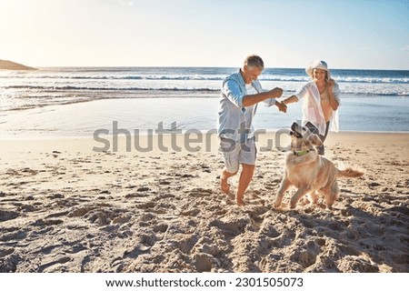 Happy couple, holding hands and at the beach with a dog in summer for retirement travel in Indonesia. Smile, playful and an elderly man and woman on a walk at the sea with a pet for play and holiday