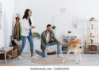 Happy Couple Looking Akita Inu Dog Stock Photo 2140312653 | Shutterstock