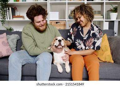 Happy Couple Loving Their Pet