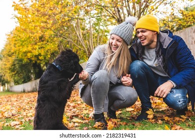 Happy Couple Playing With The Dog At Park, Autumn Leaves On The Ground - Young Couple With A Black Dog Enjoying A Walk And Time Outdoor - Lifestyle And Animals Concepts