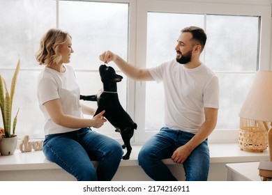 happy couple playing with french bulldog by the window - Powered by Shutterstock