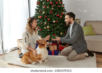 happy couple in winter clothing exchanging gifts near decorated Christmas tree and corgi dog - Powered by Shutterstock