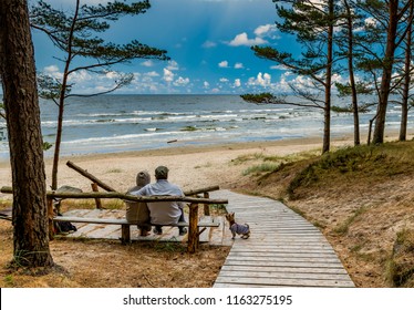 Happy couples of seniors are resting and looking at a distance near a sandy beach of the Baltic Sea  - Powered by Shutterstock