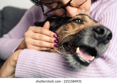 Happy crossbreed dog being kissed by his owner. Close up caption. Selective focus - Shutterstock ID 2251584931