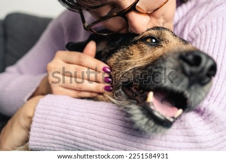 Happy crossbreed dog being kissed by his owner. Close up caption. Selective focus