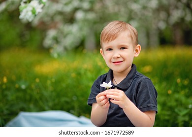 Happy Cute Caucasian Little Boy Having Stock Photo 1671972589 ...