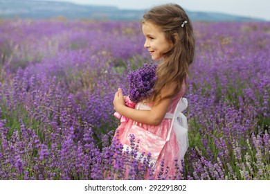 Happy Cute Little Girl Lavender Field Stock Photo 292291802 | Shutterstock