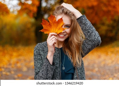 Happy cute young attractive woman with a smile in a fashionable coat is standing in the park and covering her face with yellow autumn maple leaves. Funny positive girl. Emotion of joy.