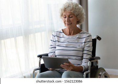 Happy Disabled Handicapped Senior Adult Retired Woman Sit On Wheelchair Hold Digital Tablet At Home, Smiling Elder Old Grandma Enjoy Using Online App Read Electronic Book Tech On Computer In Hospital