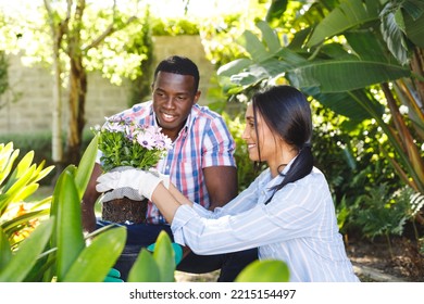 Happy Diverse Couple Gardening Together, Planting Flowers In Sunny Garden. Happiness, Health, Domestic Life And Inclusivity Concept.