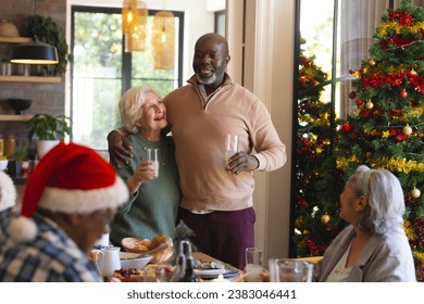 Happy diverse senior couple of friends toasting at christmas dinner in sunny dining room. Retirement, christmas, friendship, celebration, meal, senior lifestyle, unaltered. - Powered by Shutterstock