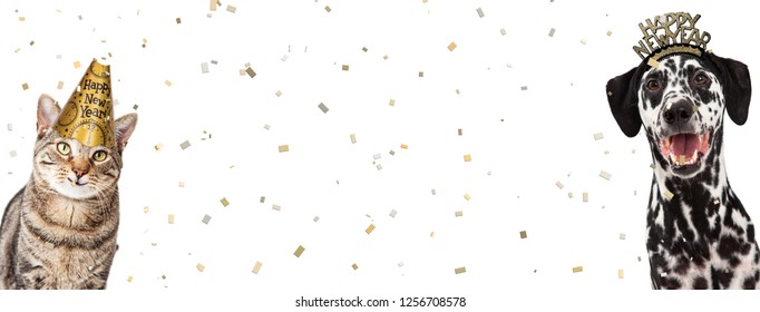 Happy Dog And Cat Together Celebrating New Year's Eve Wearing Party Hats With Confetti Falling. Website Header With Room For Text