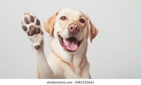 happy dog giving a high five isolated on white, with copy space area	