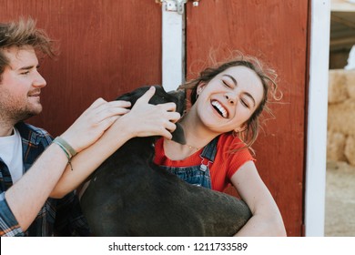 Happy Dog Greeting His Owners