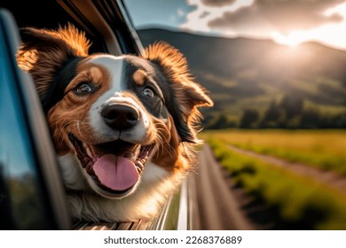 Happy dog with head out of the car window having fun - Shutterstock ID 2268376889