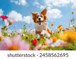 Happy dog running in a blossoming flower meadow on sunny day