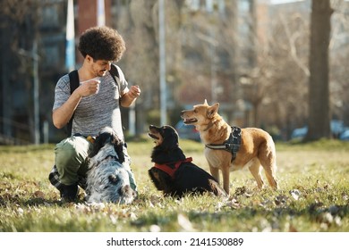 Happy Dog Walker And Group Of Dogs Enjoying In The Park. 