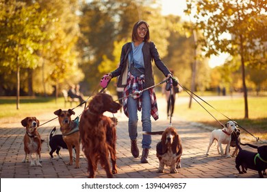 Happy dog walker woman enjoying with dogs while walking outdoors