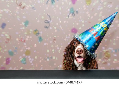 Happy Dog Wearing A New Year Party Hat With Confetti Falling