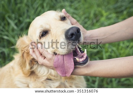 Happy dog with woman
