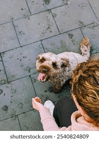 Happy dog's muzzle while playing with its owner.