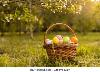 Happy Easter. Basket with Easter eggs in grass on a sunny spring day - Easter decoration, banner, panorama, background with copy space for text