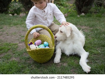 Happy Easter. boy and a white dog look into a basket full of painted eggs. easter fun, interesting childhood. Selective focus