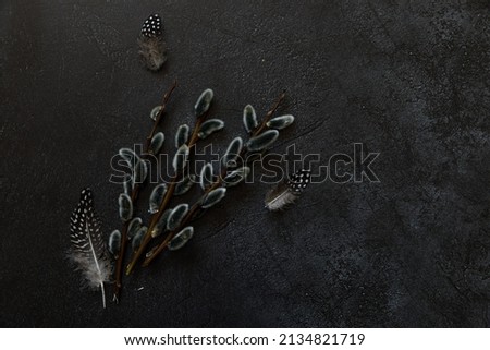 Happy Easter concept. Preparation for holiday. Pussy willow flowers branches, feather on trendy grunge scratched dark black stone shale background. Simple minimalism flat lay top view copy space