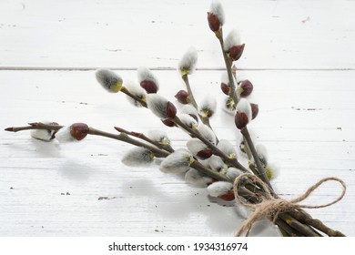     Happy Easter Day card with pussy willow tree. Branches Of The Pussy Willow on white wooden rustic background. Minimal Easter concept. Copy space for text.                                          