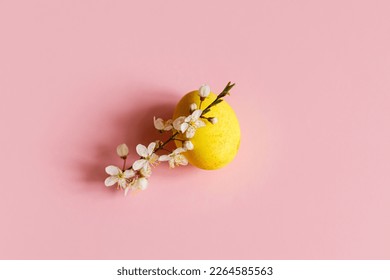 Happy Easter! Easter egg and blossom on pink background. Minimal Easter still life. Modern spring banner or greeting card, space for text. Natural painted yellow egg and cherry branch - Shutterstock ID 2264585563