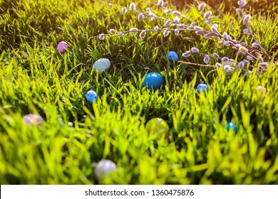 Happy Easter. Easter eggs hidden in spring grass.