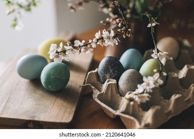 Happy Easter! Easter eggs rustic table and cherry blossoms  Natural dyed colorful eggs in paper tray wooden board   spring flowers in rustic room  Moody atmospheric image