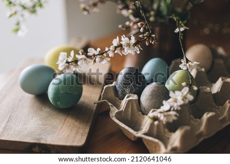 Happy Easter! Easter eggs on rustic table with cherry blossoms. Natural dyed colorful eggs in paper tray on wooden board and spring flowers in rustic room. Moody atmospheric image