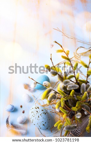 Similar – Image, Stock Photo Cotoneaster in the morning light