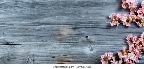 Happy Easter holiday concept with right border of pink cherry tree blossoms on rustic wooden boards  