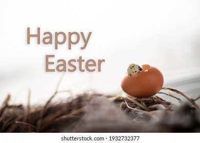 Happy Easter, An Inscription On A White Background And From Below A Quail Egg Peeps Out Of A Chicken Egg Scarlop On Twigs. Postcard With Congratulations Of The Easter Holiday.