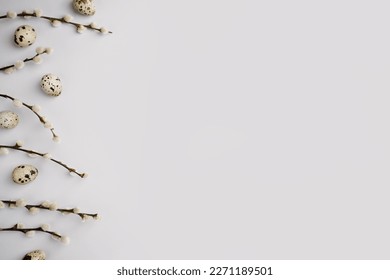 Happy Easter layout. Pussy willow branches and natural quail eggs on light grey background. Festive eco composition. Spring holiday. Willow catkins and eggs template. Top view, flat lay, copy space.