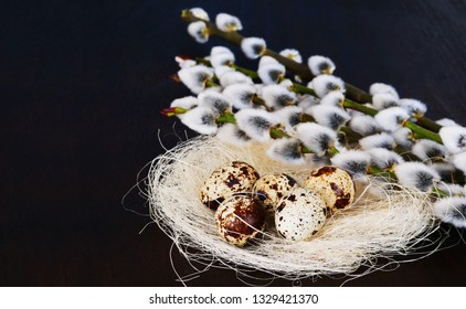 Happy Easter! Quail eggs in nest with pussy willow flowers, Easter background