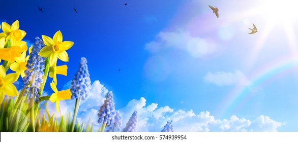 Happy Easter; Spring Landscape Background With Fresh Spring Flowers
