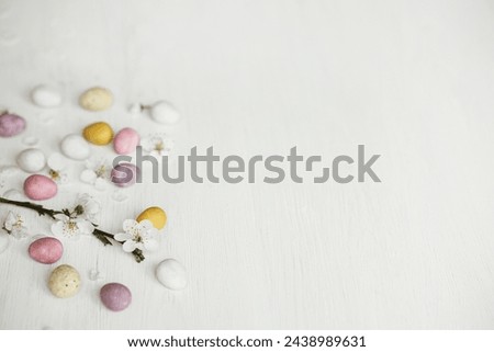 Happy Easter! Stylish easter chocolate eggs and cherry blossom on rustic white table flat lay. Easter border with space for text. Modern candy colorful eggs and spring flowers