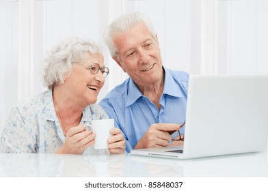 Happy Elder Couple Enjoy Together At Laptop Computer