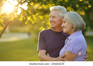 Happy Elderly Couple At Nature On Sunset Background