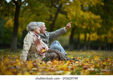 Happy Elderly Couple Sitting In Autumn Nature