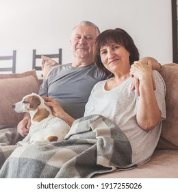 Happy Elderly Couple Sitting On Sofa At Home. Seniors With Dog