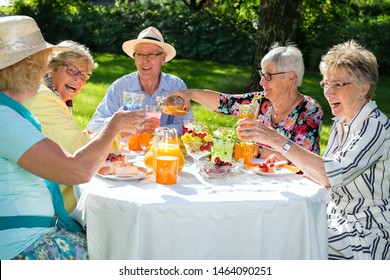 Happy elderly people sitting around the table picnicking. Group of seniors eating fruit cake and drinking orange juice, one woman is serving juice to other friends, two women are raising the glasses.