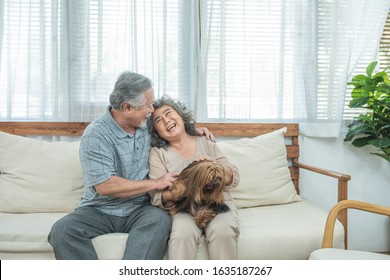 Happy Elderly Senior Asian Couple Sit On Sofa Together With Pet Therapy In Nursing Daycare,Retired Man And Woman Holding Dog While Sitting On Couch In Living Room At Home.