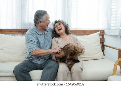 Happy elderly senior asian couple sit on sofa together with pet therapy in nursing daycare,Retired man and woman holding dog while sitting on couch in living room at home. - Powered by Shutterstock